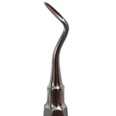 API Root Elevator Flohr / Apexo